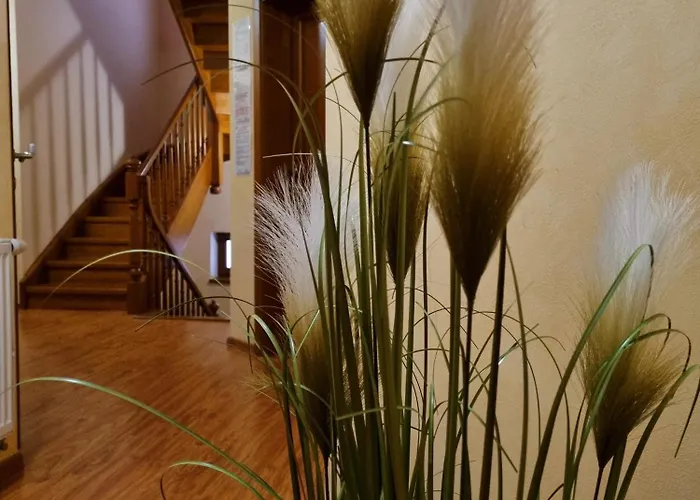 Casa de hóspedes Magura Bardejov